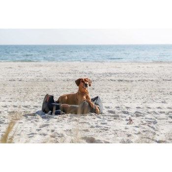 Collari da addestramento per cani Trixie Be Nordic Marrone 50 cm