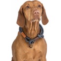 Coleira de Treino para Cães Trixie BE NORDIC Castanho Cinzento escuro 45 cm