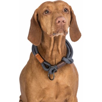 Coleira de Treino para Cães Trixie BE NORDIC Castanho Cinzento escuro 45 cm
