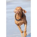 Coleira de Treino para Cães Trixie BE NORDIC Castanho Cinzento escuro 45 cm