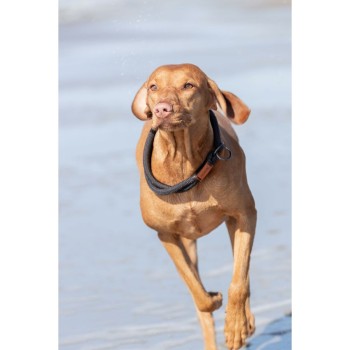 Coleira de Treino para Cães Trixie BE NORDIC Castanho Cinzento escuro 45 cm