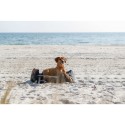 Collari da addestramento per cani Trixie Be Nordic Grigio 45 cm