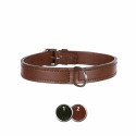 Collare per Cani Trixie Active Nero L/XL 52-63 cm