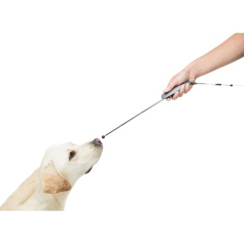 Collare per Cani Trixie Rustic Marrone scuro S/M 34-40 cm