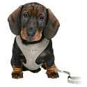 Hundegeschirr Trixie Junior Hellgrau
