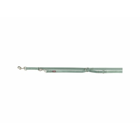 Verstellbare Hundeleine Trixie Premium grün XS/S