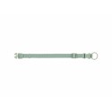 Collar para Perro Trixie Premium Verde XS/S 22-35 cm