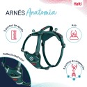 Arnês para Cães Company of Animals Turquesa S 28-42 cm