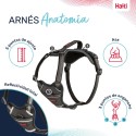Arnês para Cães Company of Animals Cinzento XL 50-78 cm