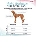 Arnês para Cães Company of Animals Turquesa S 28-42 cm