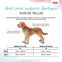 Arnês para Cães Company of Animals Cinzento XS 28-44 cm