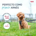 Arnês para Cães Company of Animals Cinzento XS 28-44 cm