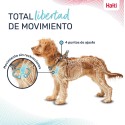 Arnês para Cães Company of Animals Cinzento XS 28-44 cm