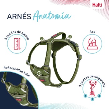Arnês para Cães Company of Animals Verde S 28-42 cm