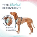 Arnês para Cães Company of Animals Verde S 28-42 cm