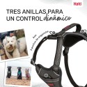 Hundegeschirr Company of Animals Grau XS 20-32 cm