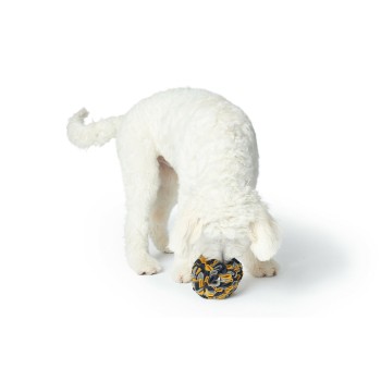 Giocattoli per cani Hunter