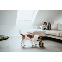 Brinquedo para cães Hunter
