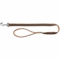Dog Lead Trixie Brown Light brown 1 m M/L