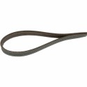 Dog Lead Trixie Grey 1 m L/XL