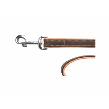 Laisse pour Chien Trixie Marron Marron Clair 1 m M/L