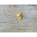Giocattoli per cani Trixie 29 cm