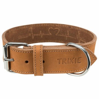 Coleira para Cães Trixie Castanho 38-47 cm