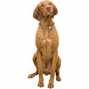 Hundehalsband Trixie BE NORDIC Sand M 45 cm