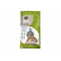 Leito de papel FibreCycle  Back 2 Nature