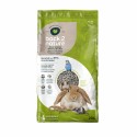Leito de papel FibreCycle  Back 2 Nature
