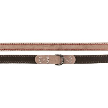 Dog Lead Trixie Brown S/M 2 m