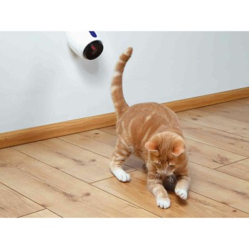 Laserpointer Trixie