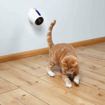 Laserpointer Trixie