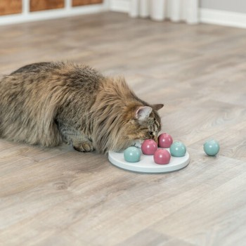 Esteira de Jogos e Prémios para Animais de Estimação Trixie
