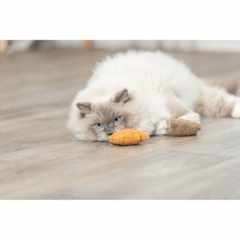 Katzenspielzeug Trixie