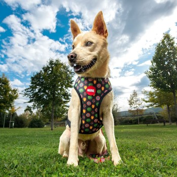 Imbracatura per Cani Marvel Reversibile