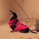 Cappotto per Cani Minnie Mouse