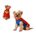 Fantasia para Cão Herói de Banda Desenhada