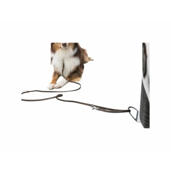 Piastra di scarico Trixie 12 × 31 CM