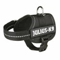 Arnês para Cães Julius K9 Power Preto 1 Baby 1 (XS)