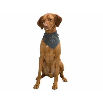 Handkerchief Trixie Dog