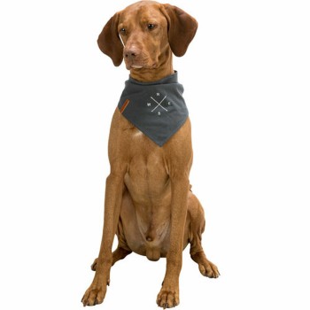 Handkerchief Trixie Dog