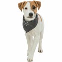 Handkerchief Trixie Dog
