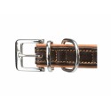 Collier pour Chien Trixie Marron M