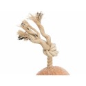 Hundespielzeug Trixie Polyester Baumwolle 38 cm