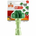 Brinquedo para cães Nylabone Verde Artificial L