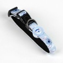 Set Regalo Stitch Azzurro Multicomposizione Cane 4 Pezzi