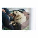 Canapé pour chien Hunter (Reconditionné A)