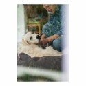 Canapé pour chien Hunter (Reconditionné A)