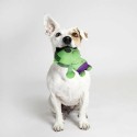 Jouet pour chien The Avengers